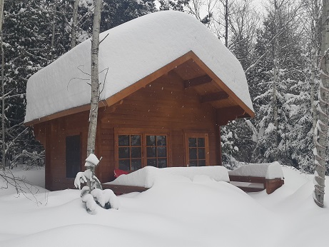 The Peacock Loft Bunkie